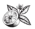 naranja